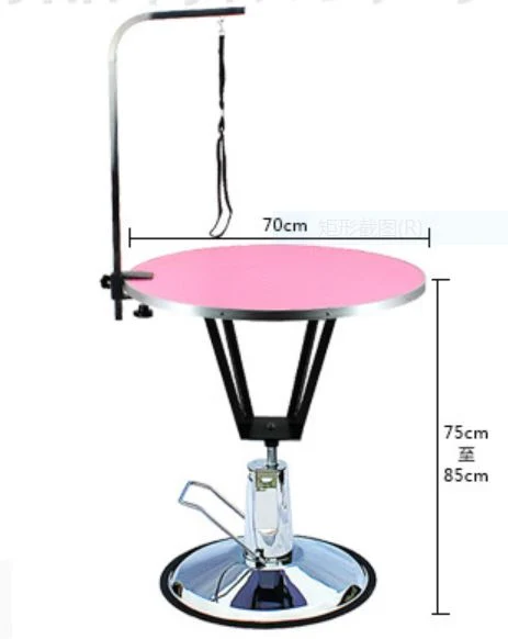 Hydraulic Pet Grooming Table Dog Beauty Bath Saloon Tool